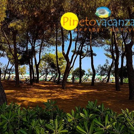 Myconos C2 - Pineto Vacanza Exterior photo